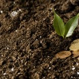 Productores del litoral y centro del país advierten que sembrar una hectárea de trigo o cebada hoy cuesta un 30% más que la zafra pasada, obligando a lograr rindes de 4.500 kilos solo para cubrir los costos fijos. Productores del litoral y centro del país advierten que sembrar una hectárea de trigo o cebada hoy cuesta un 30% más que la zafra pasada, obligando a lograr rindes de 4.500 kilos solo para cubrir los costos fijos.