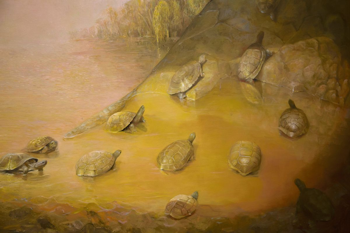lula mari. Las tortugas tienen en sus pinturas diversos sentidos simbólicos, al igual que otros animales. lula mari. Las tortugas tienen en sus pinturas diversos sentidos simbólicos, al igual que otros animales.