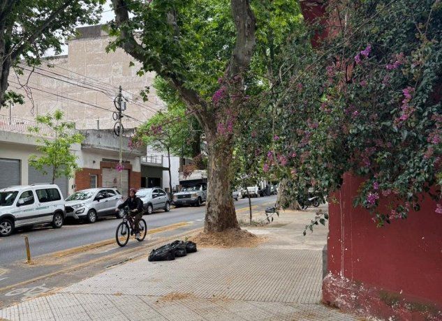 Intersección de Almirante f. J. Seguí y Cucha Cucha. Bicisenda y casas bajas (Foto: Desimone Grillo Propiedades) Intersección de Almirante f. J. Seguí y Cucha Cucha. Bicisenda y casas bajas (Foto: Desimone Grillo Propiedades)