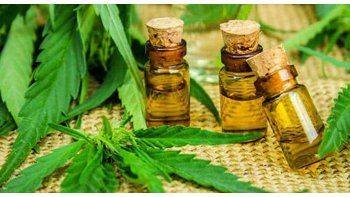 La Corte Suprema convocó a una audiencia pública para tratar un planteo previo al uso gratuito&nbsp; del cannabis medicinal.