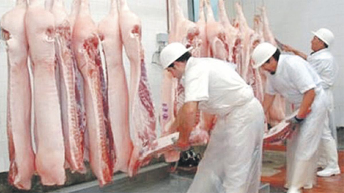 Pork exports fell 81.9% in the first semester