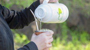 Consumo récord de yerba mate en los últimos diez años.