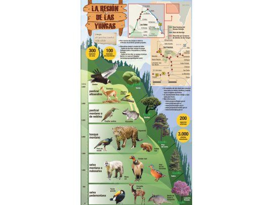 El norte muestra su cara selvática