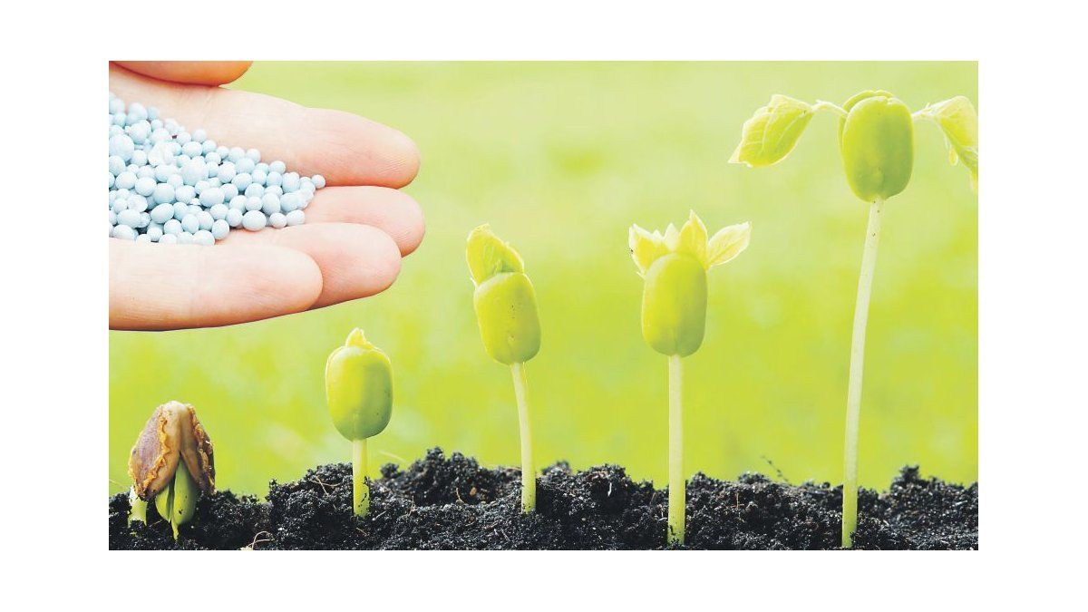 Anunciarán una inversión China por u$s1.200 millones para producir fertilizantes