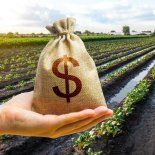 La Bolsa de Comercio de Rosario analizó el impacto de la guerra en el campo de Argentina. La Bolsa de Comercio de Rosario analizó el impacto de la guerra en el campo de Argentina.