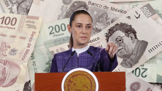 Créditos para mujeres a través de Nacional Financiera. Créditos para mujeres a través de Nacional Financiera.