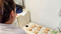 aduana: detienen a una mujer que ingresaba al pais con miles de euros escondidos en una matera