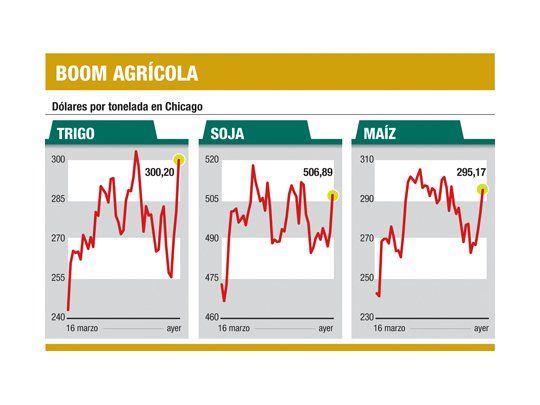 Granos, imparables: el trigo aumentó el 7%; y el maíz, el 4%