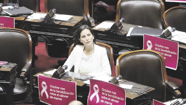 reemplazo. Micaela Morán juró y suplantó a Victoria Tolosa Paz.