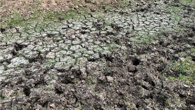 Por la sequia, la actividad económica retrocedió un 27,4% en el sector agropecuario.