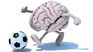 Risk.  Soccer is the sport with the highest risk of senile dementia according to a Swedish study.