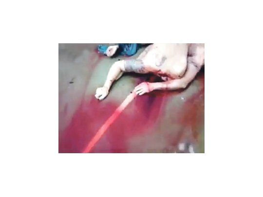 Violencia y espanto