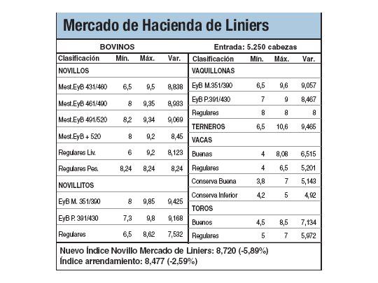 Los novillos subieron entre un 0,5% y un 2,4%