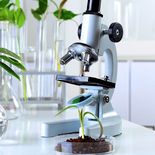 La revolucionaria apuesta de una empresa biotecnológica con IA La revolucionaria apuesta de una empresa biotecnológica con IA