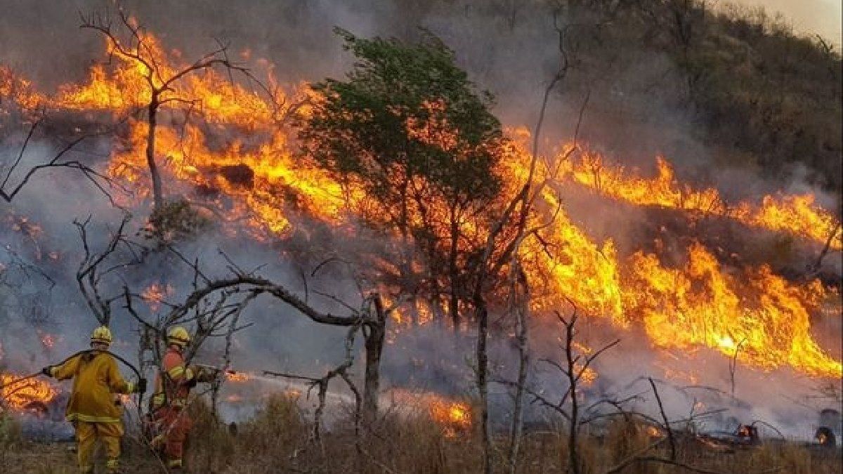 Cuatro provincias registraban hoy focos de incendios forestales activos