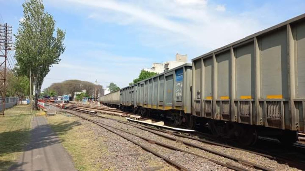 Tren Sarmiento: restablecieron el servicio tras descarrilamiento en Haedo