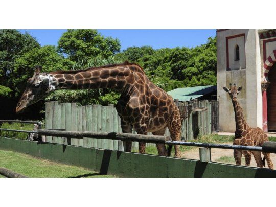 Sólo podrán ingresar organizaciones civiles para realizar visitas guiadas