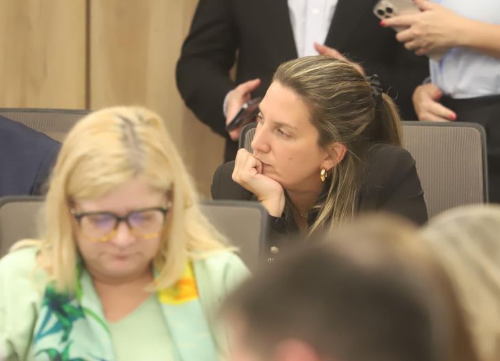 Lospennato preside una de las comisiones que integró el plenario.