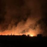 Los incendios en Mar del Plata iniciaron el pasado domingo. Los incendios en Mar del Plata iniciaron el pasado domingo.