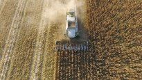 alerta en el campo por el calor extremo: la soja y el maiz soportaran 48 horas criticas