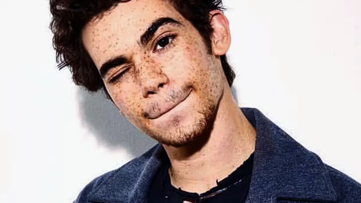 Qué pasó con la carrera de Cameron Boyce Qué pasó con la carrera de Cameron Boyce
