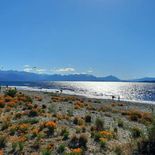 Dina Huapi, en Río Negro, una playa paradisíaca en la costa patagónica. Dina Huapi, en Río Negro, una playa paradisíaca en la costa patagónica.