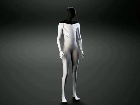 Robot humanoide de Tesla.jpeg