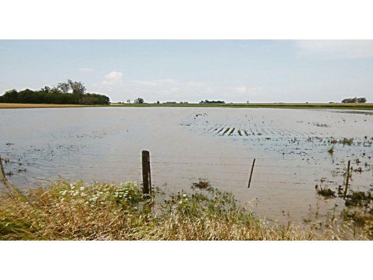 Para todos. En esta campaña hubo desde inundaciones, pasando por sequía, hasta incendios forestales en los campos argentinos.
