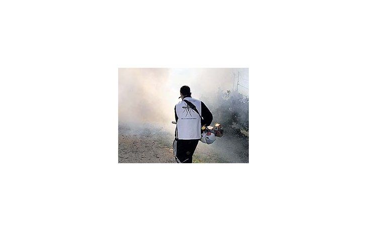 Pese a lasfumigacionesque se realizanen todo el país,el avance de laenfermedad nose detiene.