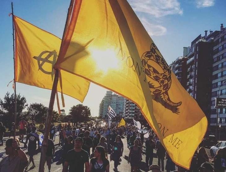 El Partido Libertario del Uruguay está habilitado para las elecciones 2024. El Partido Libertario del Uruguay está habilitado para las elecciones 2024.