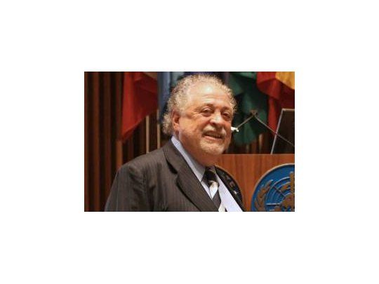 Ginés González García