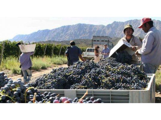 Productores vitivinícolas afirman que impuesto interno se va a trasladar a precios