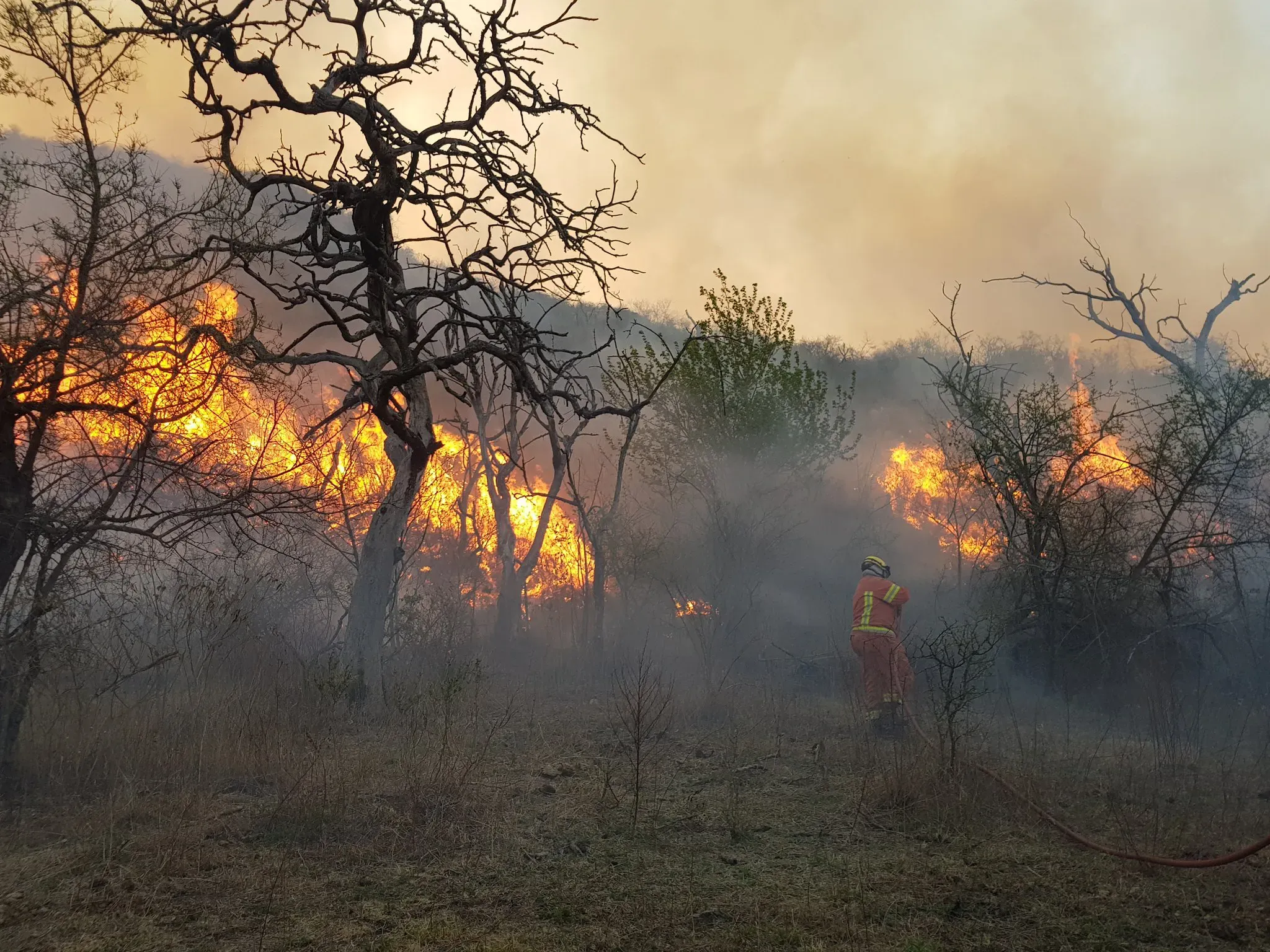 cordoba: la actividad de los incendios se redujo y controlan puntos calientes