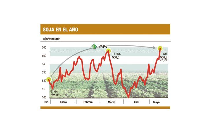 ámbito.com | La soja gana un 7% en 2013 (está en récord en el año)