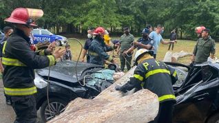 El conducor del auto se salvó de milagro.