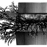 El nuevo libro sobre la artista reúne miradas críticas y textos propios que revelan una obra sensible, atravesada por la ecología, la identidad y el pulso del entorno. El nuevo libro sobre la artista reúne miradas críticas y textos propios que revelan una obra sensible, atravesada por la ecología, la identidad y el pulso del entorno.