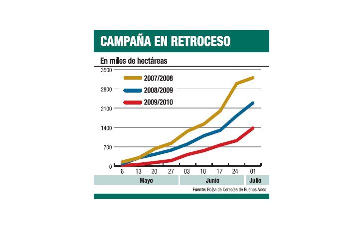 Trigo: recortan más estimación de siembra