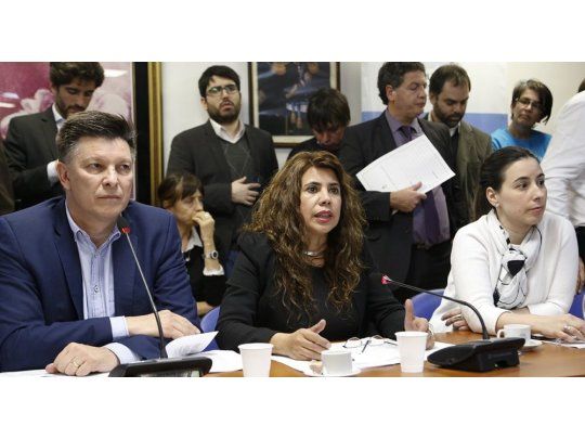 Avanzan cambios en la ley de Educación Sexual para que tenga alcance en todo el país. (Imagen: Diputados Argentina).