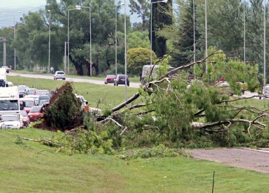 Tras temporal, declaran alerta por 72 horas en ciudad de Córdoba (foto 1)