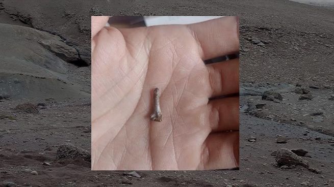 Investigación Conicect.jpg