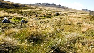 ámbito.com | malvinas.jpg