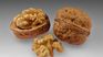 The walnut is originally from Asia and its cultivation later spread to Europe and America. The walnut is originally from Asia and its cultivation later spread to Europe and America.
