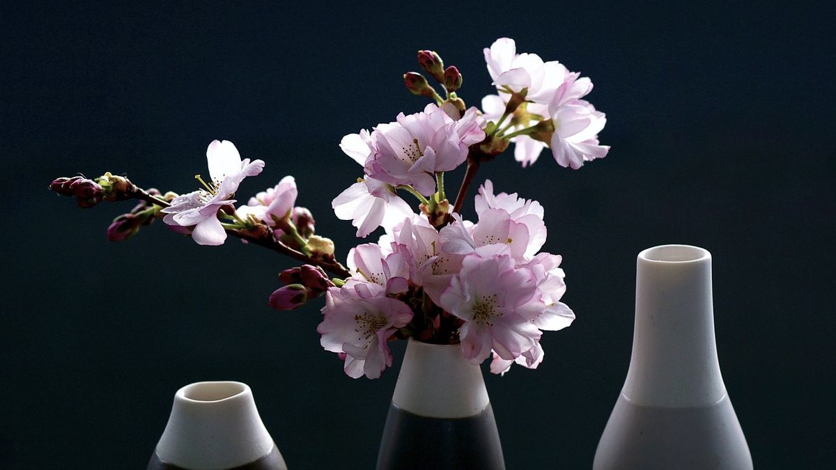 Infallible tricks to keep flowers in water for longer