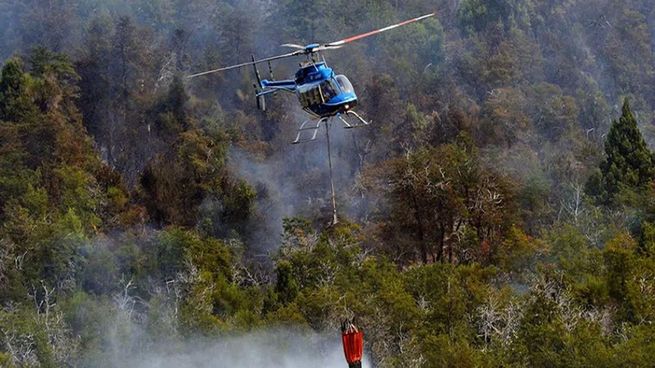 Neuquén reporta diversos incendios forestales activos.