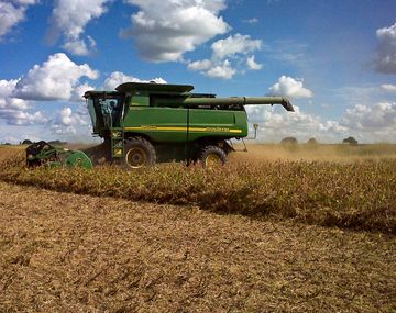 Complejo agroexportador estima liquidar unos u$s1.000 millones en las próximas semanas