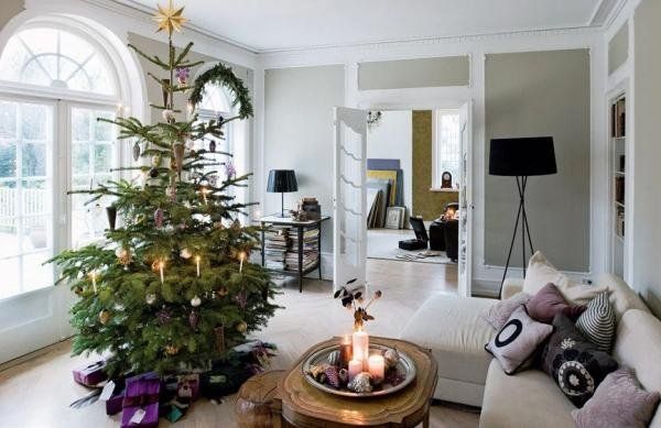 ¿Dónde está la parte de arriba de este árbol?