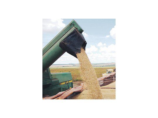 Los futuros de soja y maíz alcanzaron máximos en 30 meses en Chicago luego de que USDA redujo la estimación de producción en EE.UU. y en la Argentina.