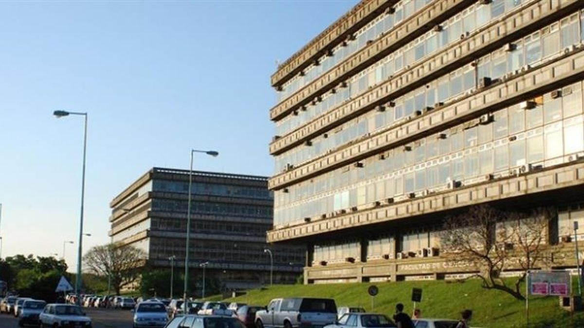 Universities deny the Government and once again demand greater financing