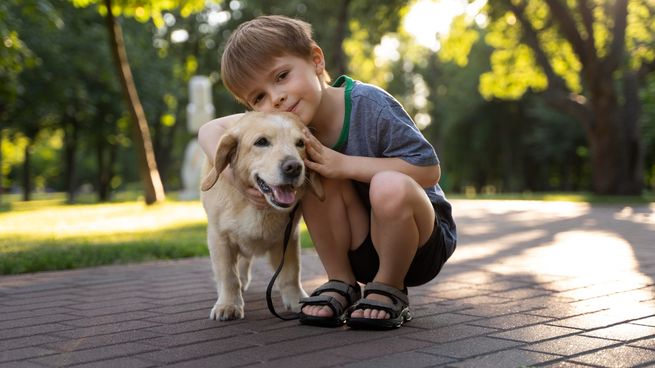 ¿Sabías que tu perro puede comer pasto sin que signifique que se siente mal? Descubrí las razones.