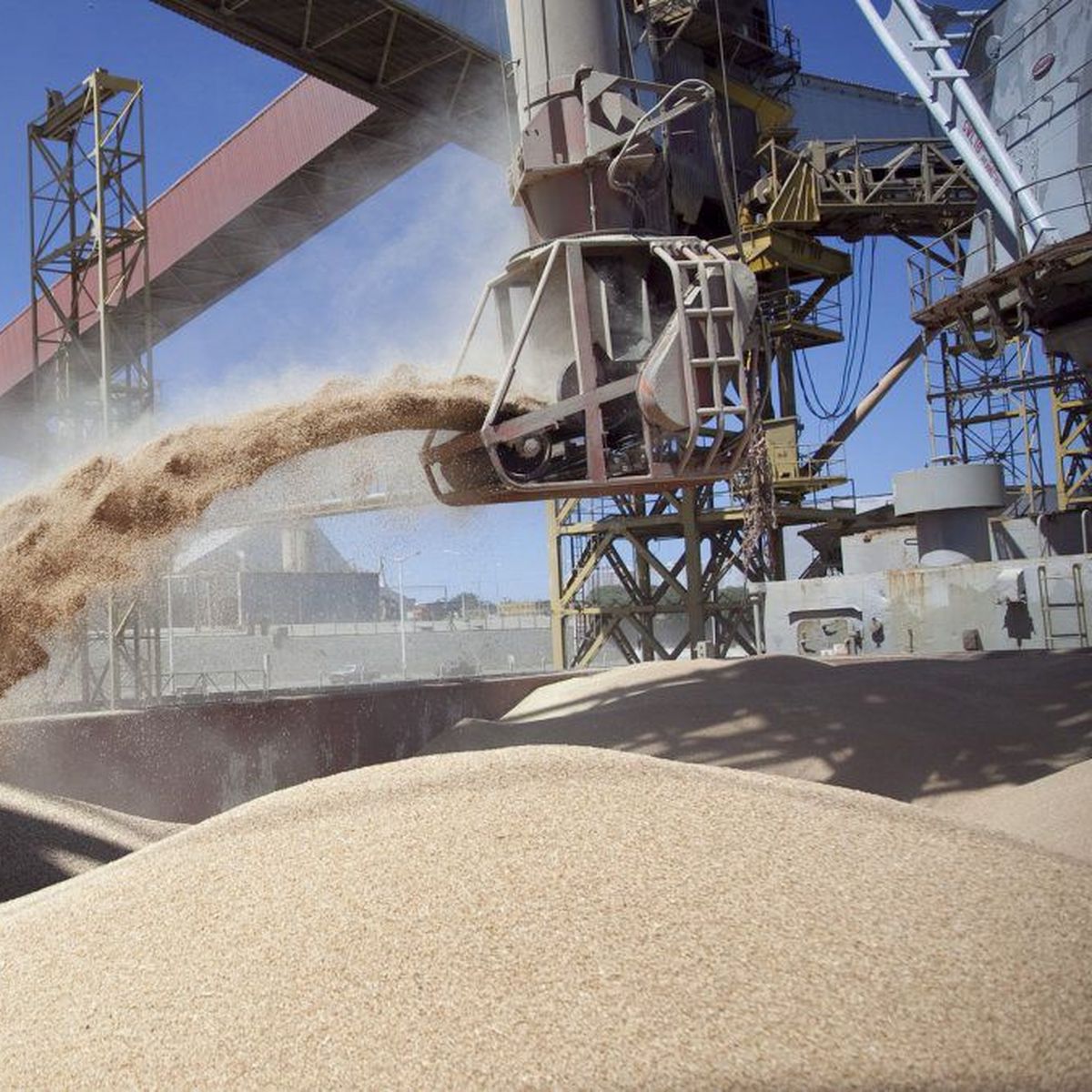 agroindustria-soja-exportaciones-granos-campo